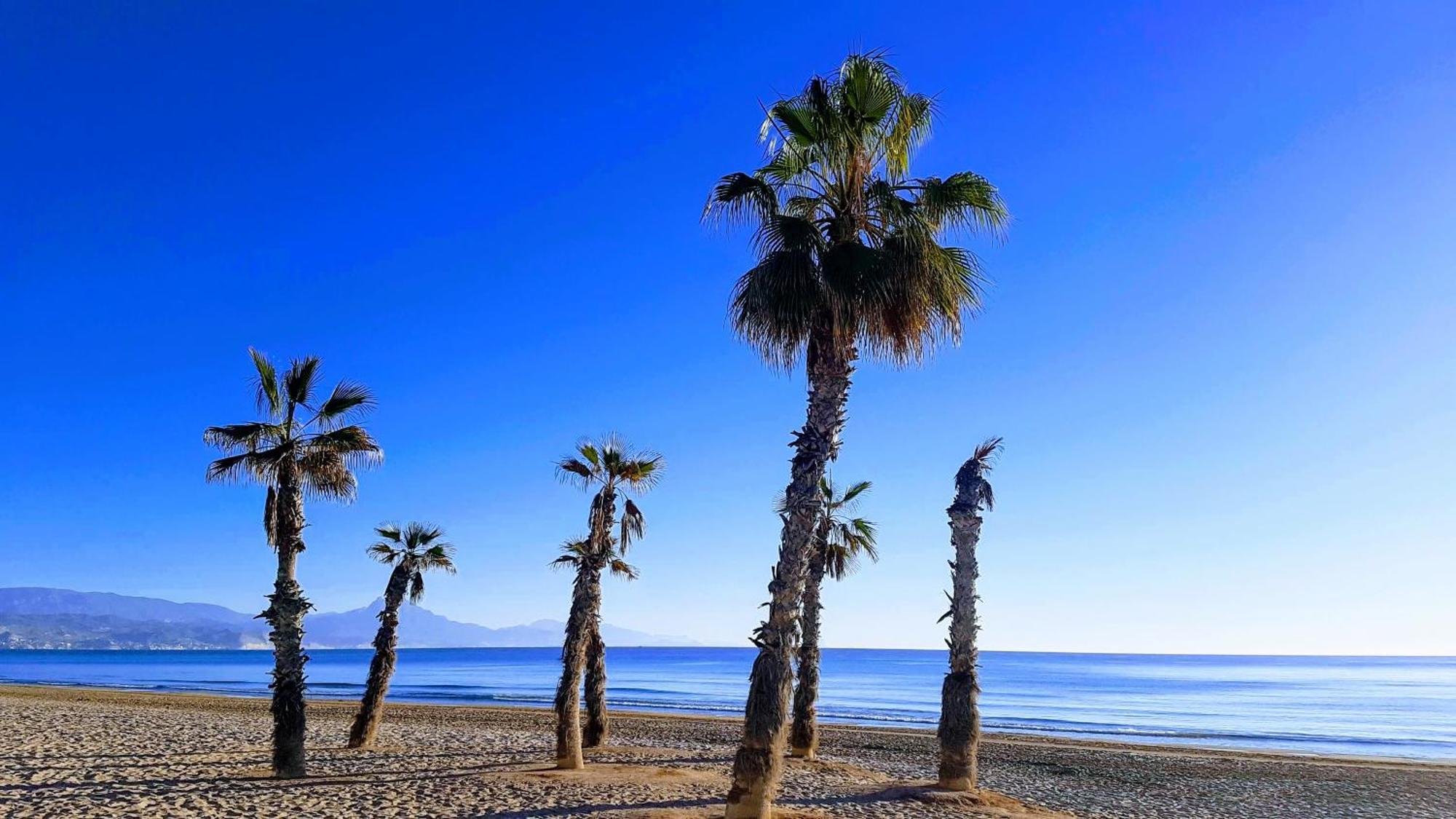 La Casa Alegre Villa Alicante Bagian luar foto